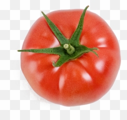 Fujimaru Tomatoes Coming Soon U2013 Pure Harvest - Superfood Png,Tomatoes Png