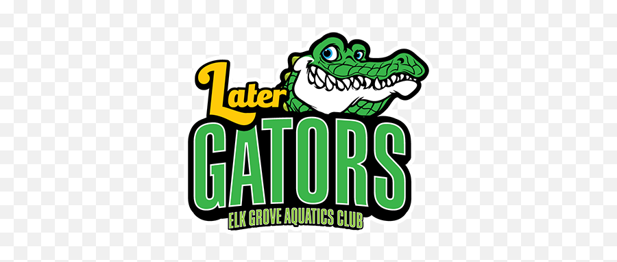 Egac Later Gators U2013 Masters Swimming - Big Png,Gators Logo Png