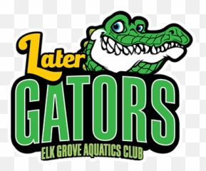 Egac Later Gators U2013 Masters Swimming - Big Png,Gators Logo Png