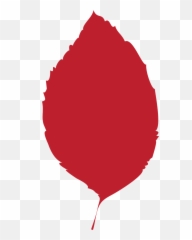 Leaf Autumn Dry - Free vector graphic on Pixabay Lovely png
