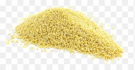 Millet Png Image Background Arts - Native Australian Millet Grain,Grains Png