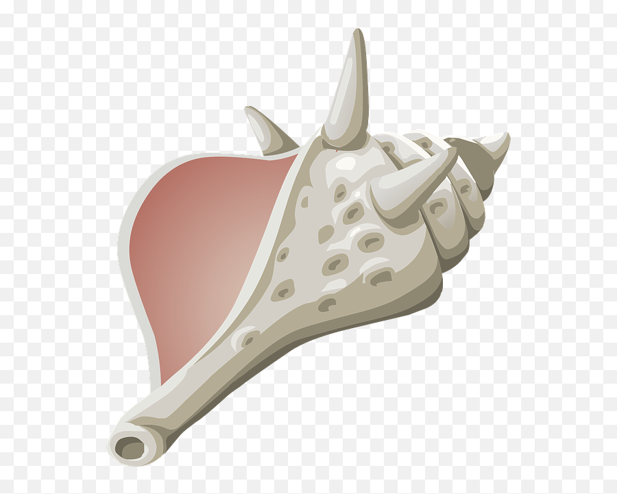 Free Image - Conch Shell Seashell Marine Symbols For Lord Of The Flies Png,Seashell Clipart Png