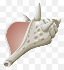 Free Image - Conch Shell Seashell Marine Symbols For Lord Of The Flies Png,Seashell Clipart Png