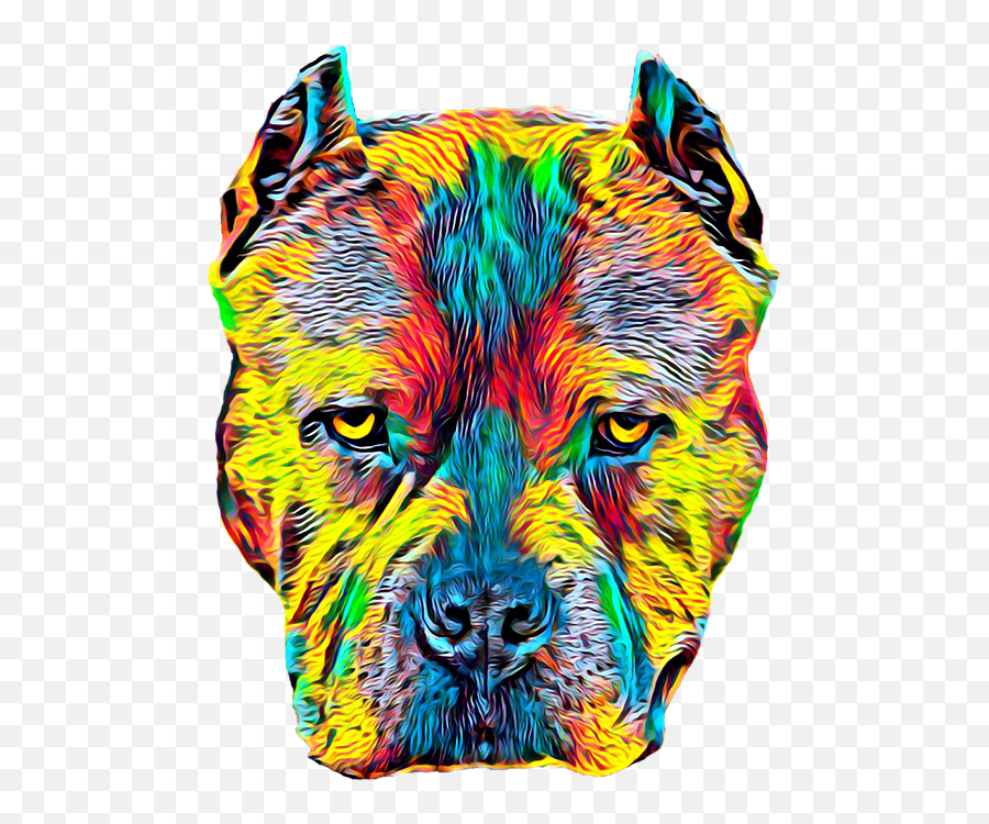 Pitbull Dog Breed Pet Head Portrait Color Hand Towel - Dog Breed Png,Pit Bull Png