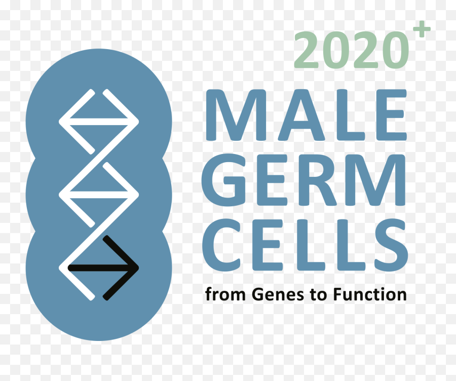 Tads From Hi - Male Germ Cells Png,Hi C Logo