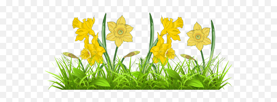 Daffodil Flower Free Clipart - Clip Art Library Free Daffodil Clip Art Png,Daffodil Icon