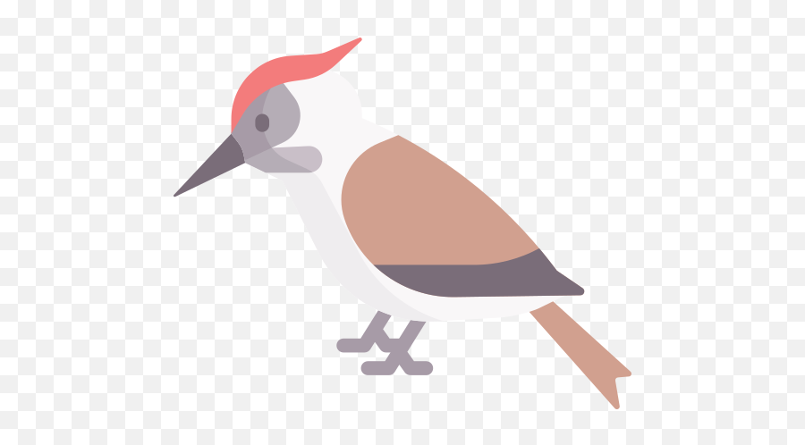 Woodpecker - Woodpecker Icon Png,Woodpecker Icon