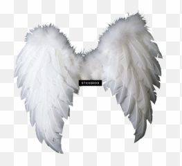 free transparent angel wings png transparent images page 2 pngaaa com angel wings png transparent