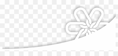 Brandlync Connecting Brands Audiences - Language png