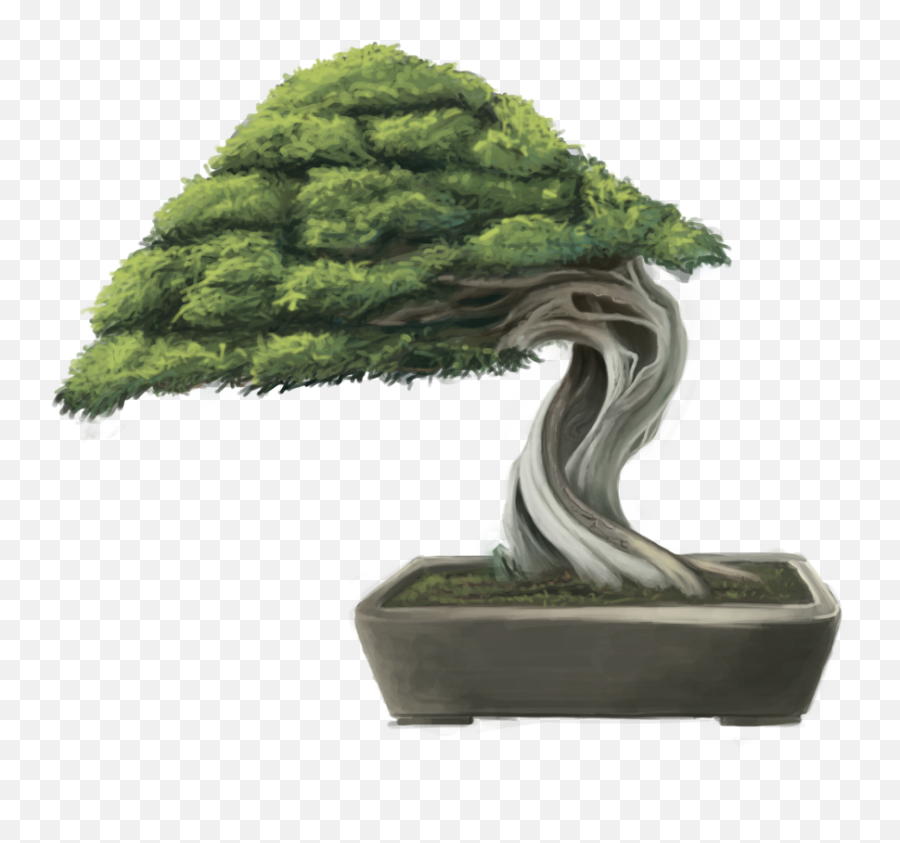 Download Hd Png Black And White Bonsai Tree By - Bonsai Tree Drawing Png,Bonsai Tree Png