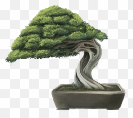 Download Hd Png Black And White Bonsai Tree By - Bonsai Tree Drawing Png,Bonsai Tree Png