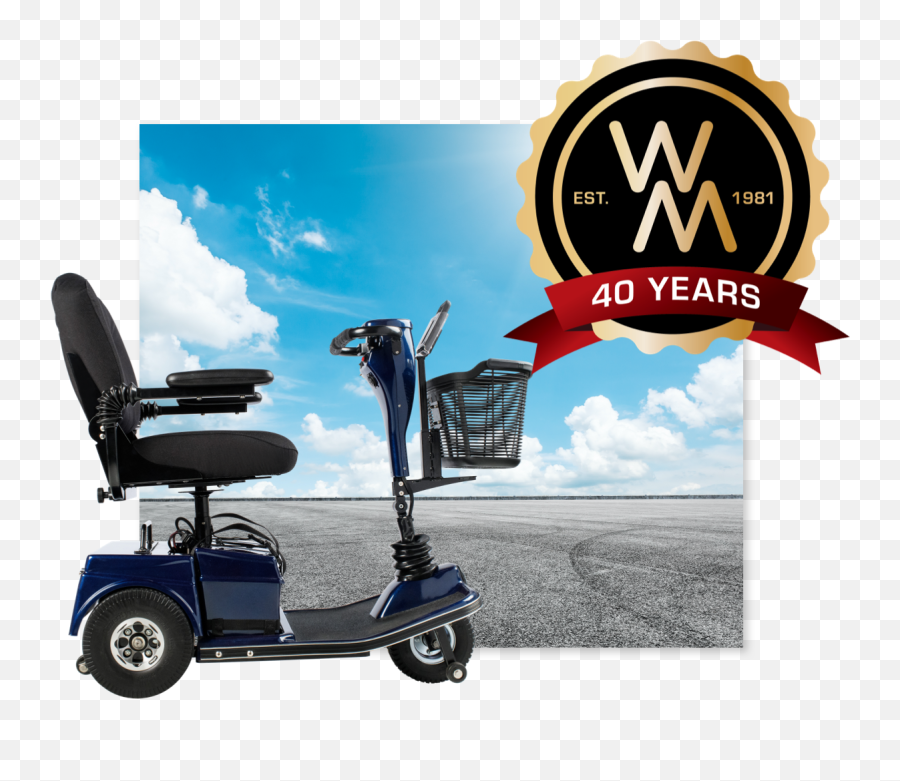 Walker Mobility Scooter Rentals - Call Or Book Online Now For Golf Png,Mcree Icon