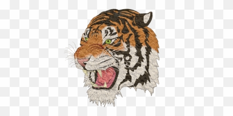 20 Free Puma U0026 Panther Illustrations - Pixabay Tiger Images Png Hd,Puma Png