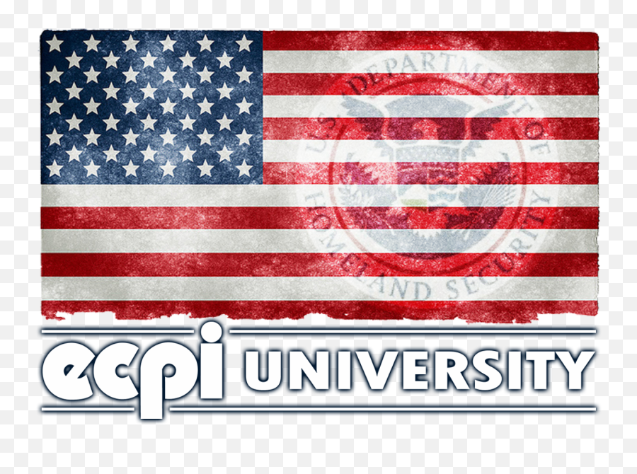 Homeland Security Degree Programs - What You Need To Know Marine Corps Wooden Flag Png,Independence Day Icon