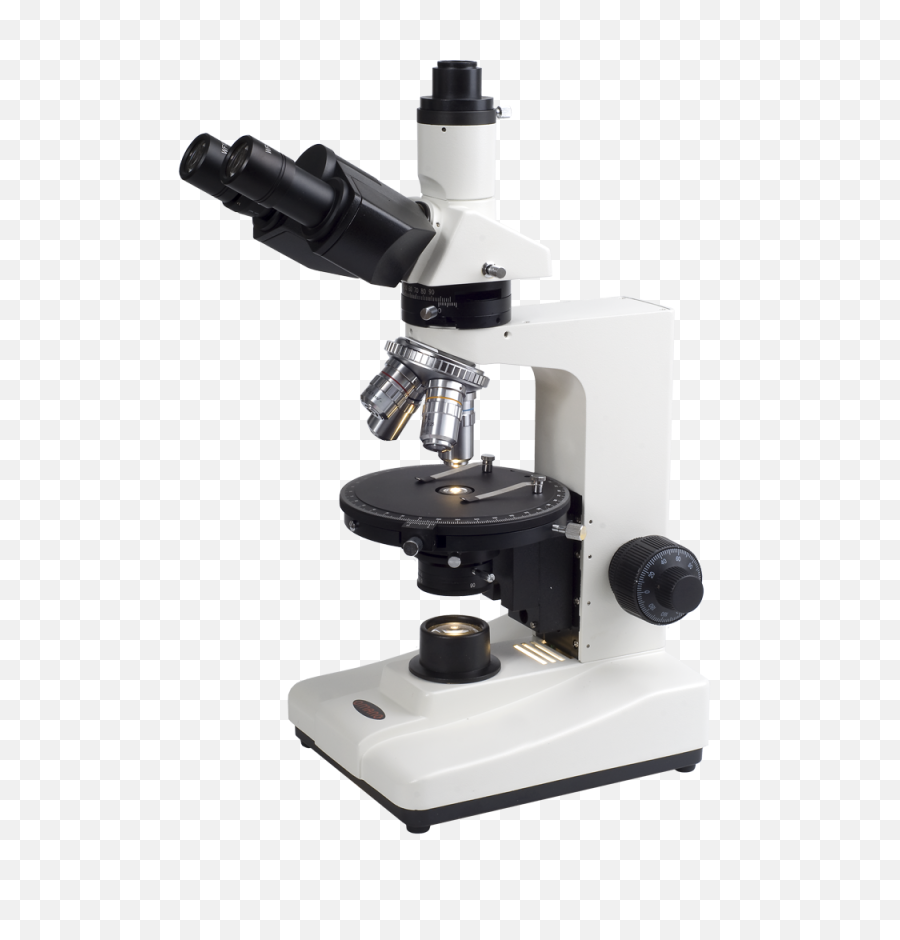 Transmitted Light Polarizing Microscope - Polarizing Microscope Png,Microscope Transparent Background