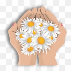 Transparent Png Svg Vector - Flower In Hand