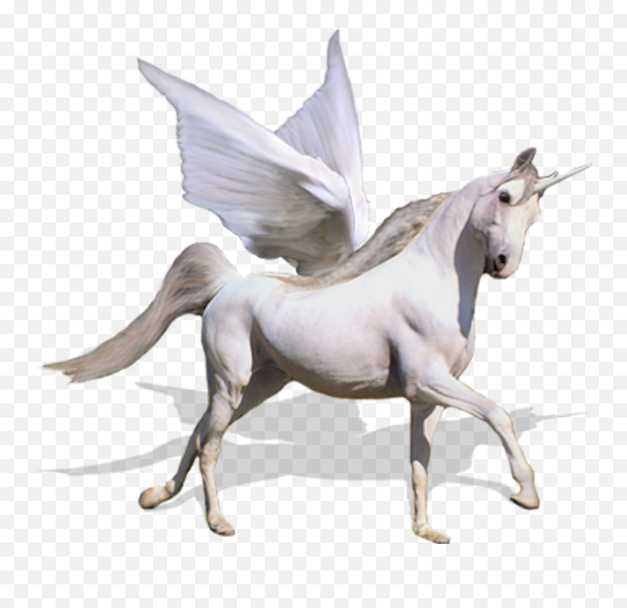 Unicorn Png Psd Horse Images Free Download - Flying Unicorn Transparent,Free Unicorn Png
