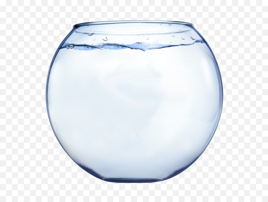 Fish Bowl Transparent Png - Stickpng Fish Bowl Transparent Png,Fish Png Transparent