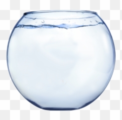 Fish Bowl Transparent Png - StickPNG Transparent Png