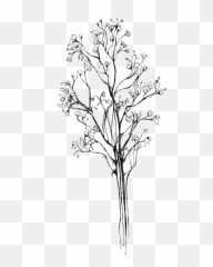 Png Transparent Images Free - Breath Flower Tatto,Baby's Breath Png