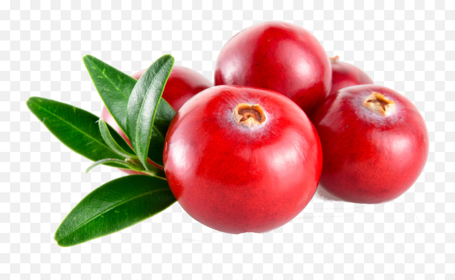 Cranberries Png - Cranberry Png,Cranberry Png