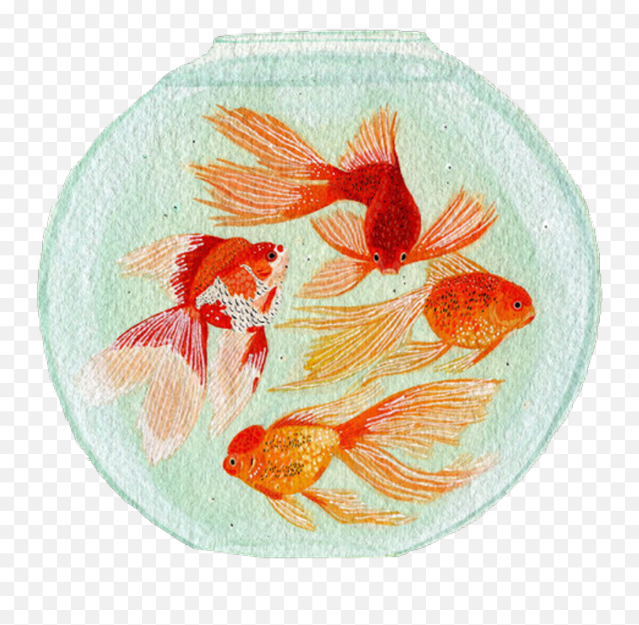 Download Fish Japan Goldenfish Aesthetic Tumblr - Aesthetic Golden Fish Png,Childish Gambino Png