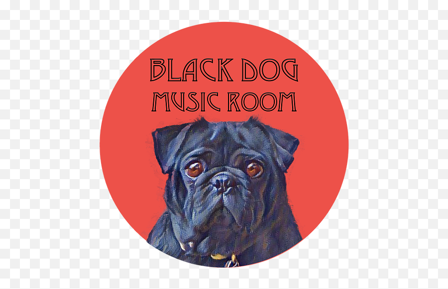 Home Blackdogmusicroom - Companion Dog Png,Black Dog Png