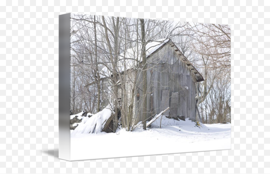 Kentucky Snow By John Penezic - Snow Png,John Snow Png
