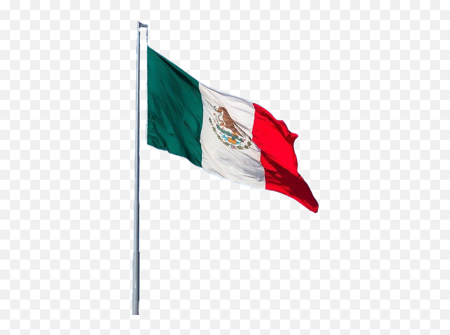 Mexico Flag Png Photo Image Real - Pole Transparent Mexican Flag,Mexican Flowers Png