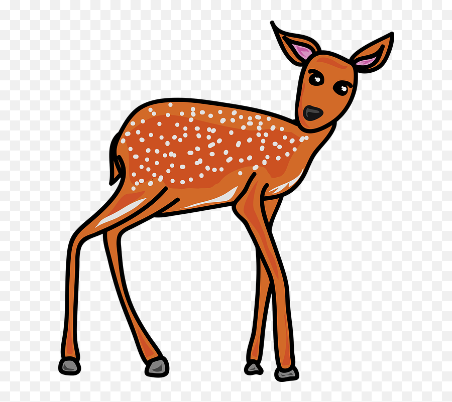 Animal Wildlife Deer Fawn Baby - Reh Clipart Transparent Png,Baby Deer Png