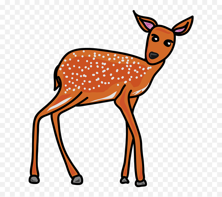 Reh Clipart Reh Clipart