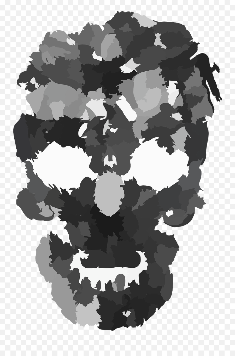 Skull Face Head - Free Vector Graphic On Pixabay Skull Camo Png,Creepy Face Png