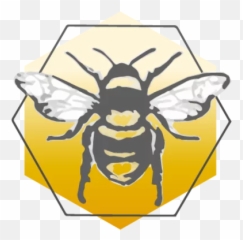Robyn L Watson Furious Honeybee - Begreennaturally Png,Honey Bee Png