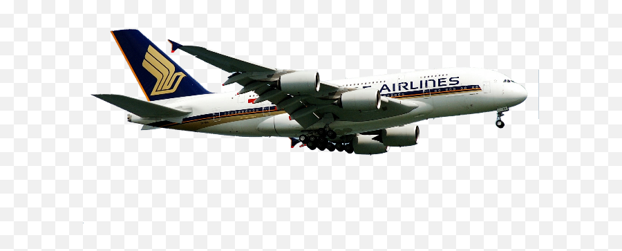Download Contact Us Search Flights Singapore Airlines Transparent Singapore Airlines Png Flight Png Free Transparent Png Images Pngaaa Com - singapore air roblox