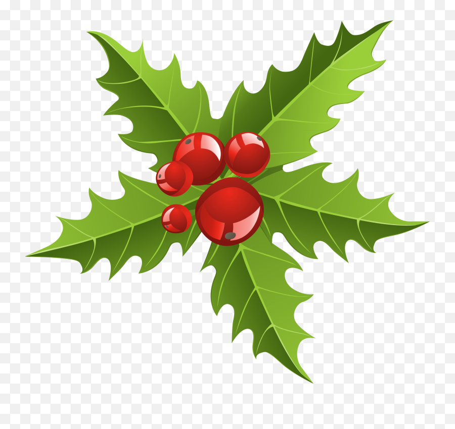 Download Christmas Clipart Mistletoe - Transparent Christmas Elements Png,Mistletoe Png
