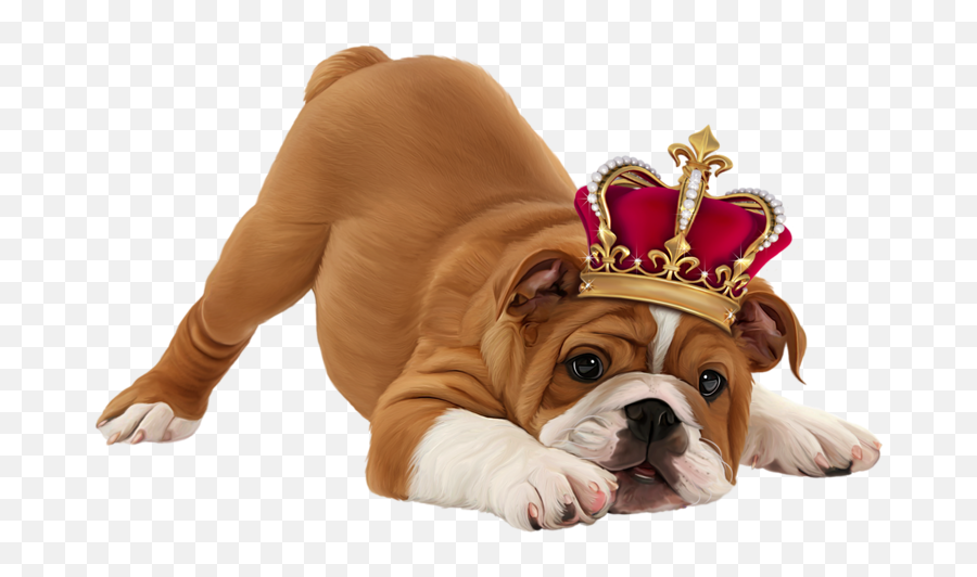 Dog Crown Png Official Psds - Puppy Hd Images In White Background,Crown Png