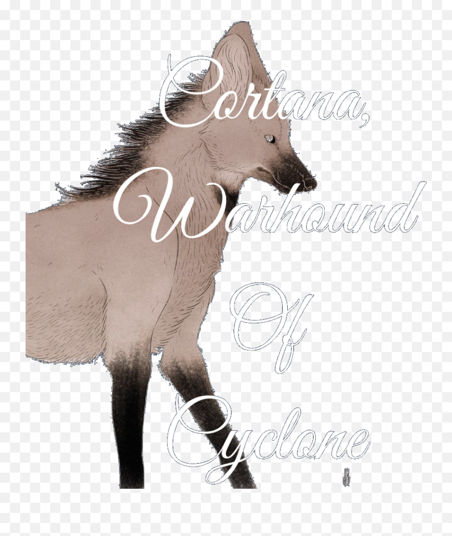 Download Warhound Cortana - Mane Png Image With No Foal,Cortana Png