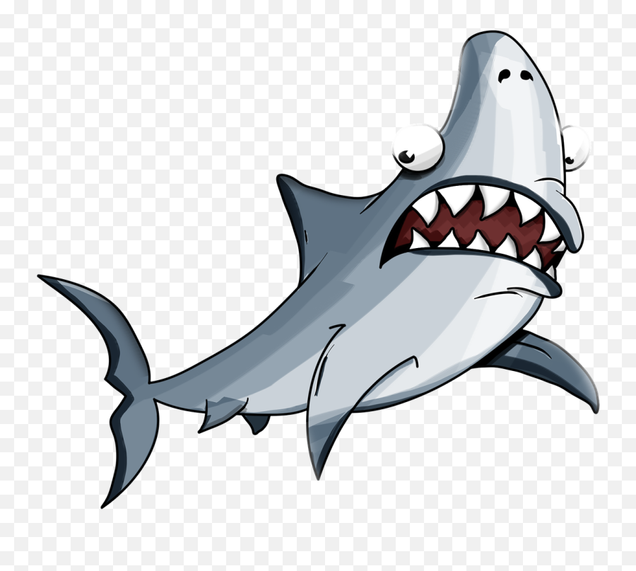 Tiger Shark Whale - Whale And Shark Cartoon Png,Whale Shark Png