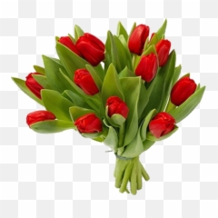 Login - Bouquet Of Flowers Png