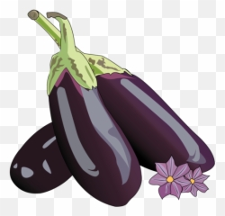 Eggplant Lifespace Gardens - Eggplant Png,Eggplant Transparent