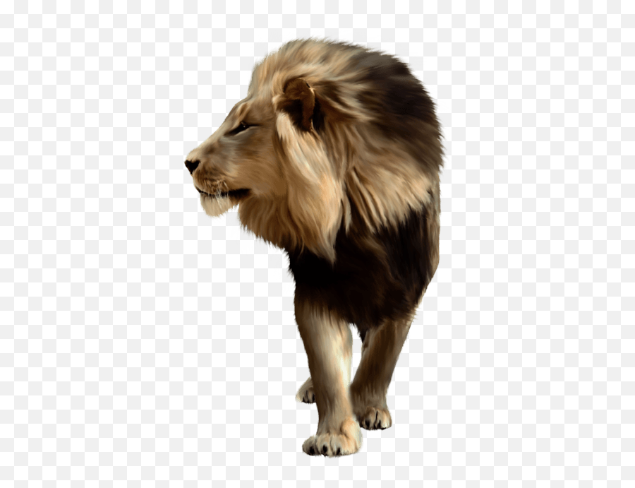 Download Free Lion Png Image - Lion Png Download Hd,Lions Icon