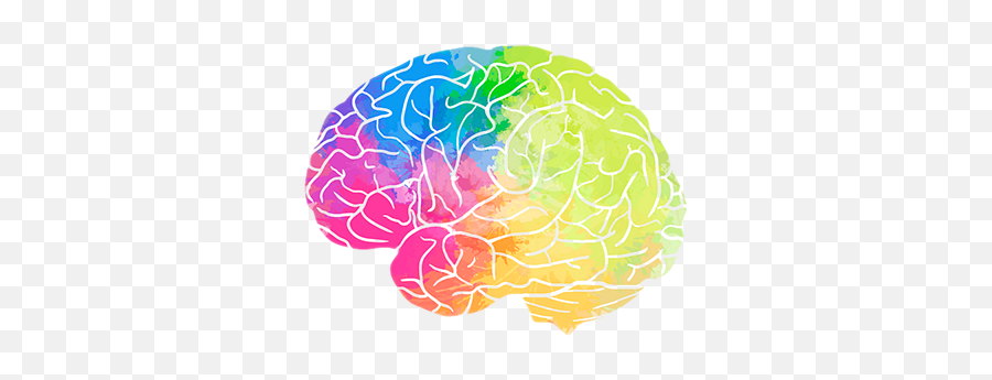 Brain Png - Part Of The Brain Processes Emotions,Brain Transparent Background