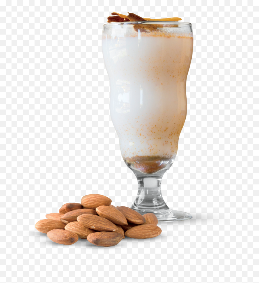 Find Your Flavor - Horchata Transparent Png,Horchata Png