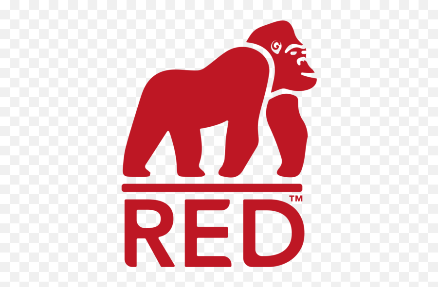 Red Gorilla Archives - Red Gorilla Logo Png,Gorilla Logo