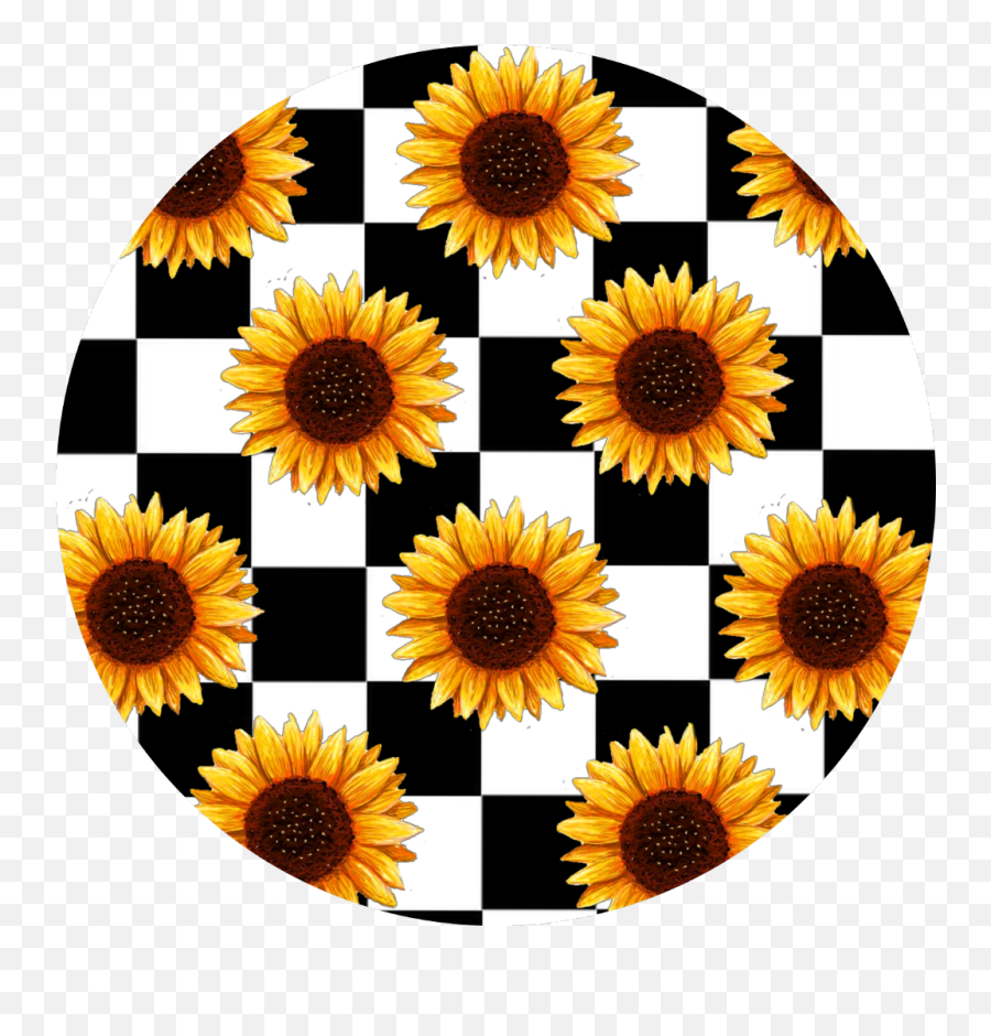 Checkerboard Background With Sunflowers - Aesthetic Sunflower Png,Sunflowers Transparent