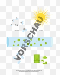 Schottstory - 13algenwachstumgrafikvorschau Schott Champion Quadrado Png,Smile More Logo