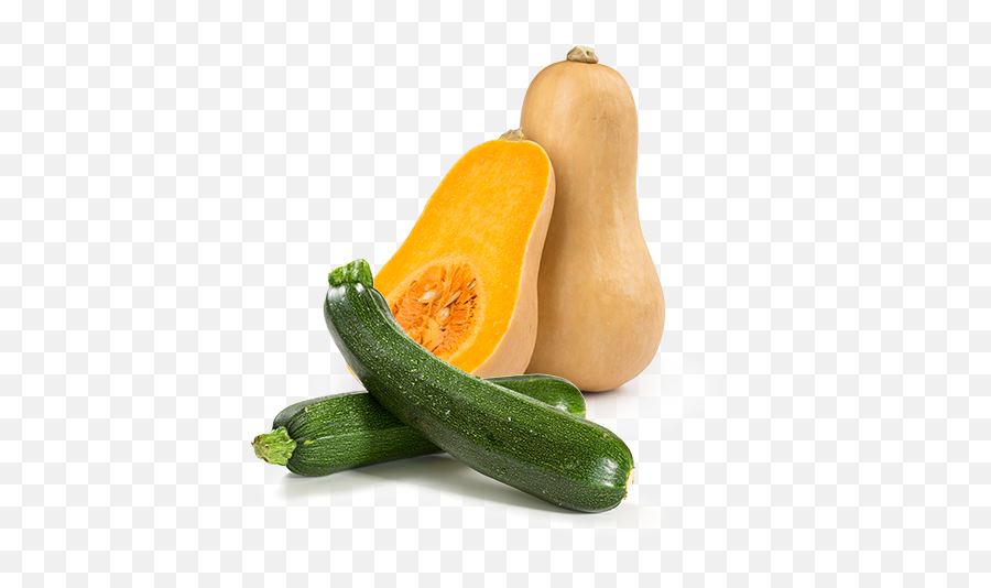 Squash Cucurbit - Zucchini Green Png,Squash Png