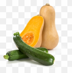 Squash Cucurbit - Zucchini Green Png,Squash Png