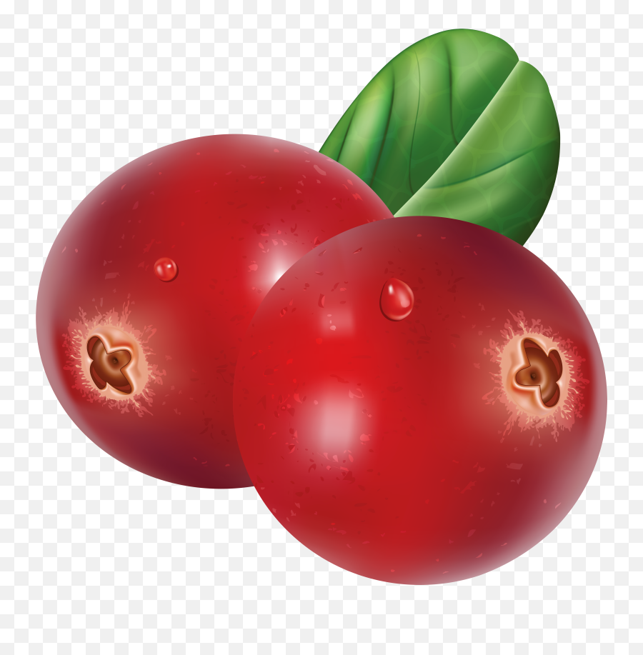 Png Free Cranberries - Clipart Cranberry Png,Cranberry Png