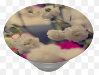 Bougainvillea Transparent Png - Cherry Blossom,Bougainvillea Png